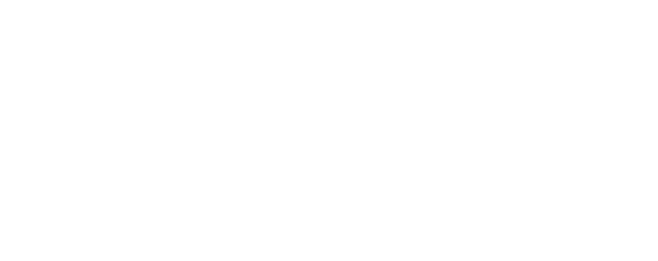 Dr. Gizem Mert